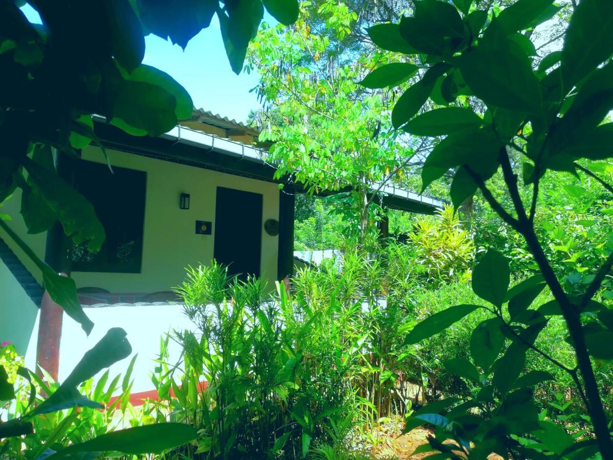 Lakmal Homestay ,10 Minutes To Sigiriya Rock Dış mekan fotoğraf