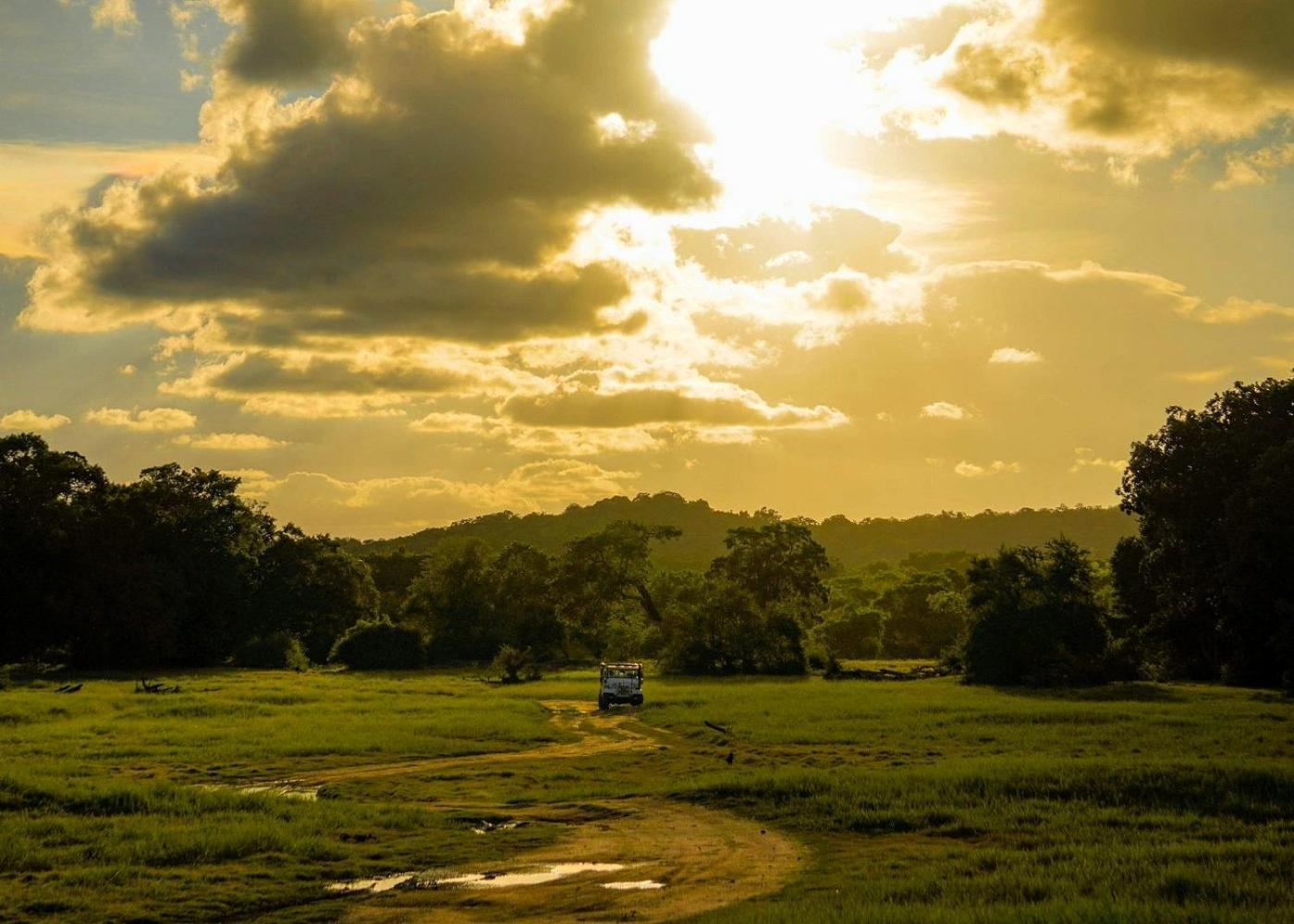 Lakmal Homestay ,10 Minutes To Sigiriya Rock Dış mekan fotoğraf