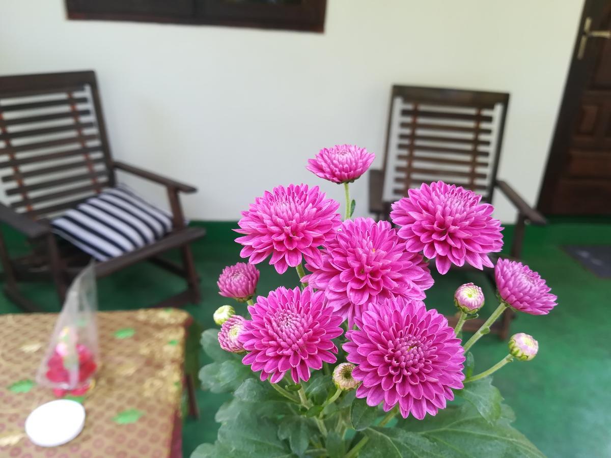 Lakmal Homestay ,10 Minutes To Sigiriya Rock Dış mekan fotoğraf